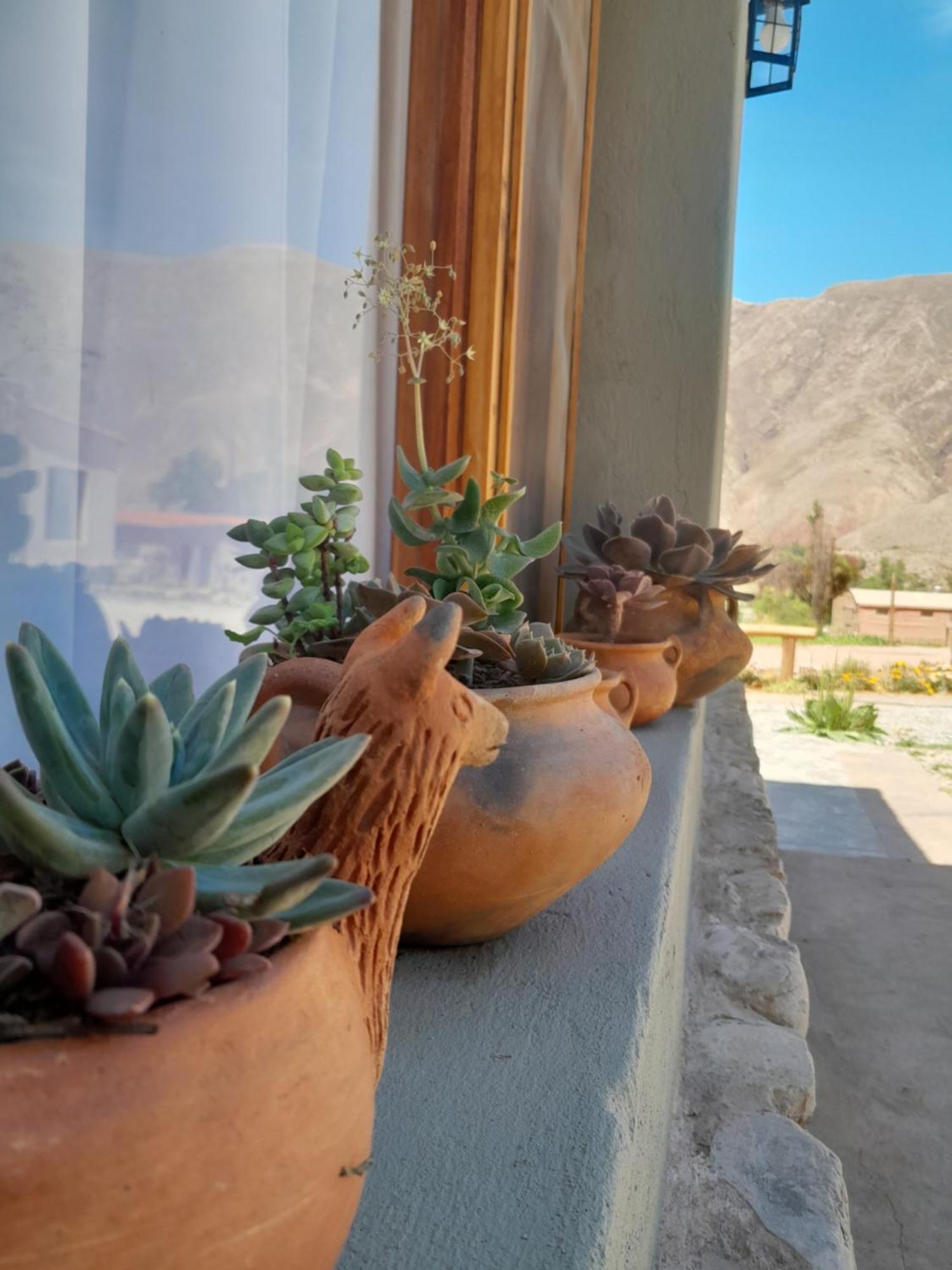 Tierra Primitiva Apartment Tilcara Ngoại thất bức ảnh